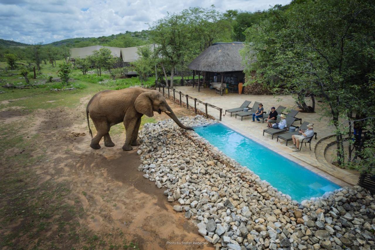 Ongava Tented Camp Окаукуехо Екстериор снимка