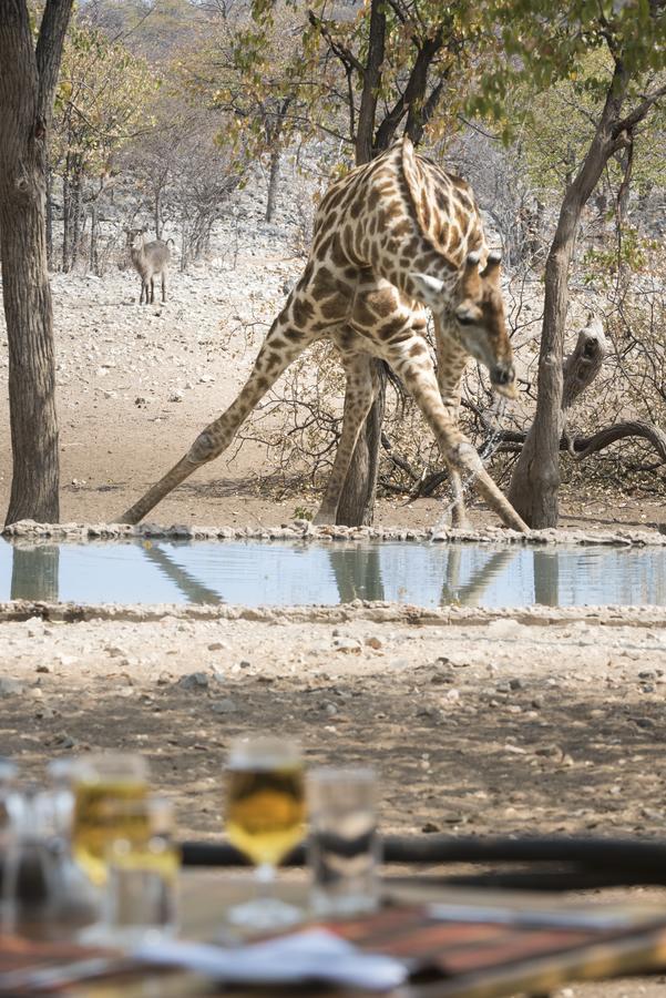 Ongava Tented Camp Окаукуехо Екстериор снимка