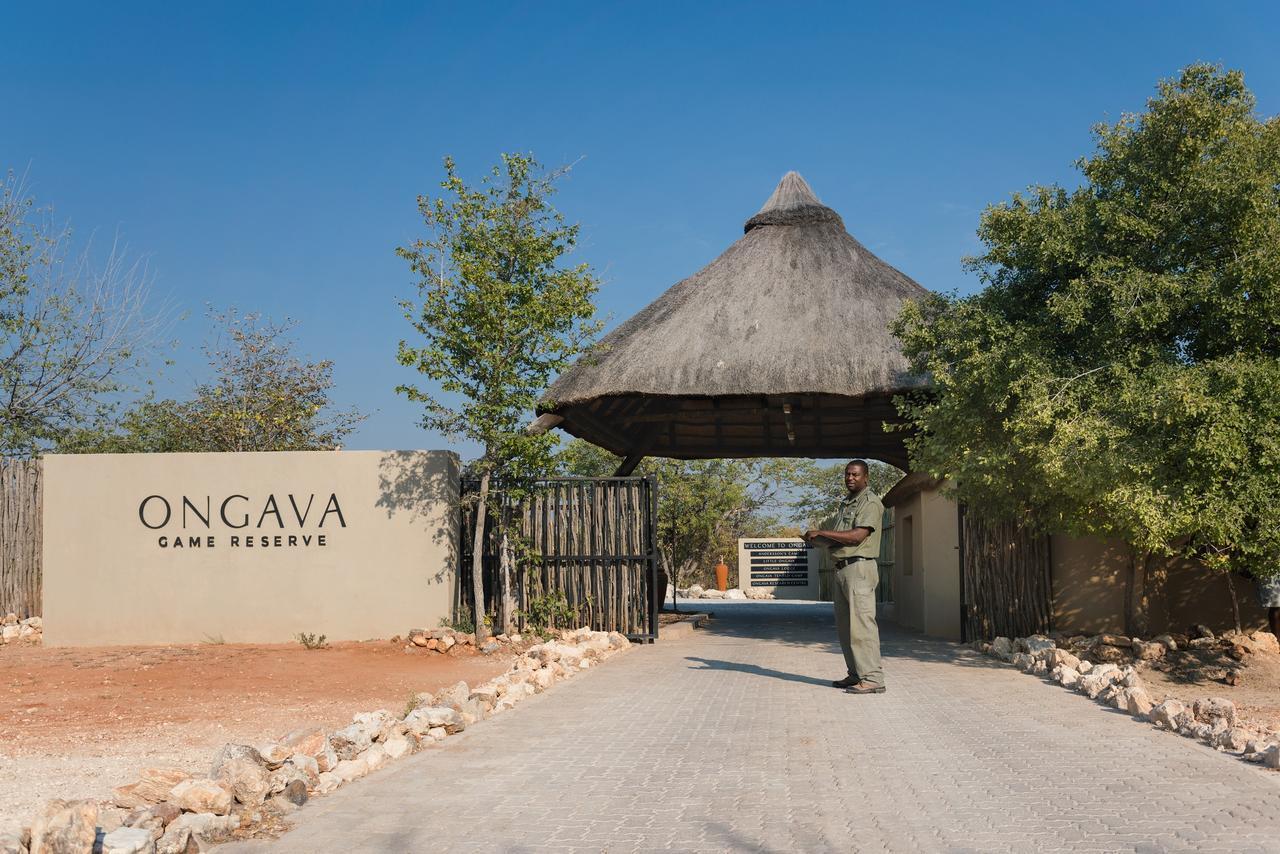 Ongava Tented Camp Окаукуехо Екстериор снимка