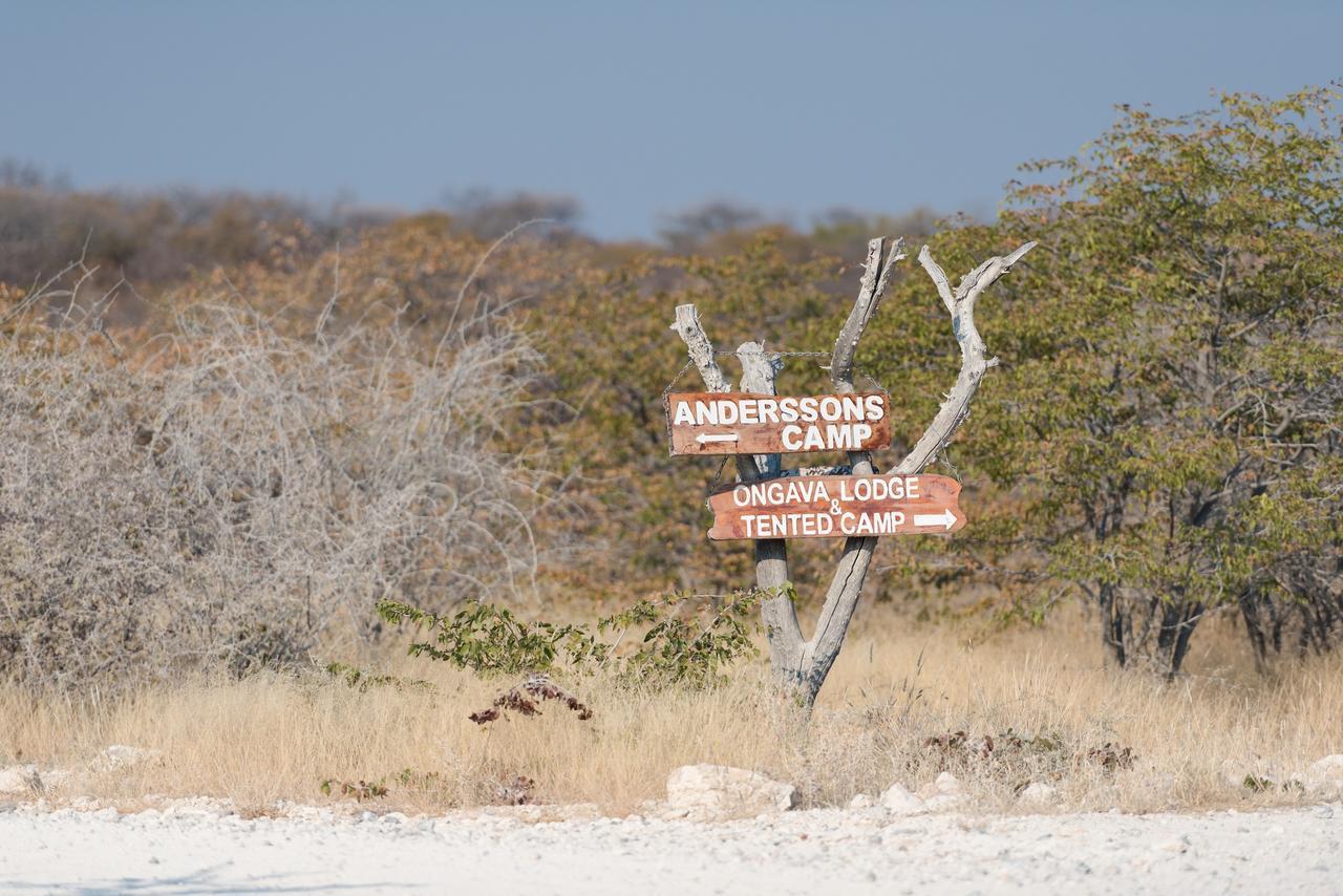 Ongava Tented Camp Окаукуехо Екстериор снимка